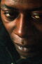 Lanre Fehintola