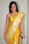 Pakhi Hegde
