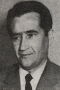 Slavoljub Stefanović-Ravasi