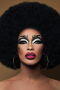 The Vixen