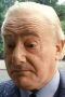 Wim van den Brink