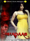 Bhadaas (2013)