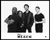 The New Shade of Black (2016)