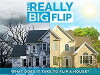The Really Big Flip (2008)