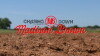 Chasing Down Madison Brown (2017)