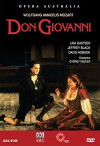 Don Giovanni (1991)
