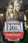 Verizon Super Bowl Central Kickoff Concert (2015)