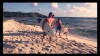 Surf Life (2012)