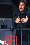 AFI Life Achievement Award: A Tribute to Al Pacino (2007)