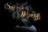 Siri ya Mtungi (2012)
