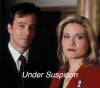Under Suspicion (1994)