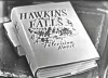 Hawkins Falls: A Television Novel (1950)
