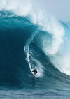 Chasing Monsters: El Niño (2017)