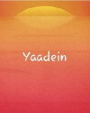 Yaadein (2013)