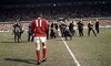 Maestro (1979)
