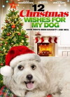 12 Wishes of Christmas (2011)