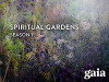 Spiritual Gardens (2007)