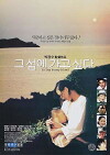 To the Starry Island (1993)