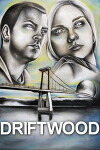 Driftwood: A Film by Patrick Strevens (2016)