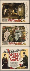 Wild Oats Lane (1926)