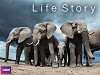 Life Story (2014)