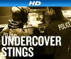 Undercover Stings (2012)