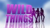 Wild Things (2010)