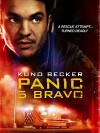 Panic 5 Bravo (2013)