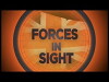 Forces in Sight (2016)