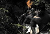 Ka'ililauokekoa (2000)