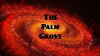 The Palm Grove (2019)