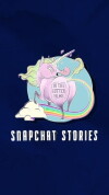 Snapchat Stories (2016)