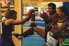Fight Girls (2006)
