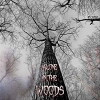 Alone in the Woods (2018)