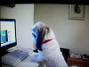 Dog Barking at Computer (2011)