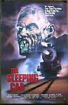 The Sleeping Car (1990)