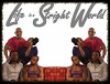 Life in a Straight World (2014)