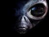 Project: Alien ZB (2020)