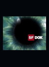 SRF DOK (1990)