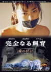 Perfect Education 2: 40 Days of Love (2001)