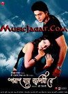 Paran Jai Jaliya Re (2009)