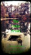 The Lake Drain (2015)