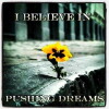Pushing Dreams (2013)