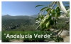 Andalucia verde (2015)