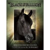 The New Adventures of the Black Stallion (1990)