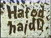 Hafod Haidd (1998)