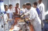Klinikum Berlin Mitte - Leben in Bereitschaft (2000)