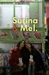 Surina & Mel (2018)