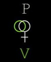 Planet Venus (2015)