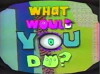 What Would You Do? (1991)